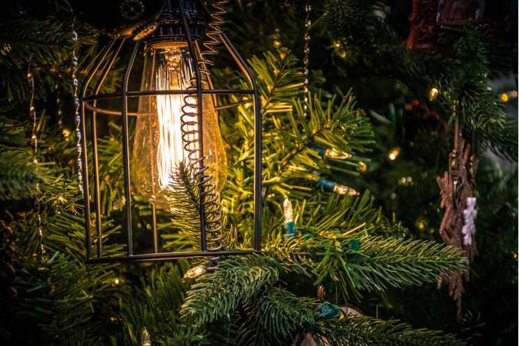 How Flocked Artificial Christmas Trees and Tree Skirts Bring Joy to Hospital Life